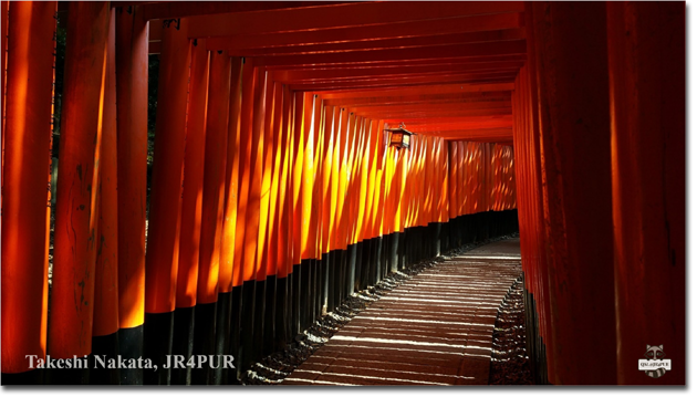 QSL@JR4PUR #413 - Fushimi Inari-Taisha