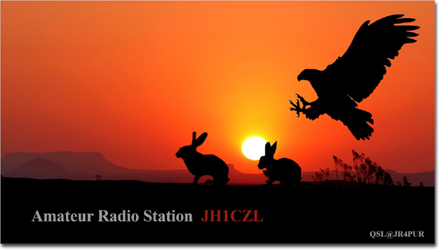 QSL@JR4PUR #428 - Rabbits, Eagle & Sunset