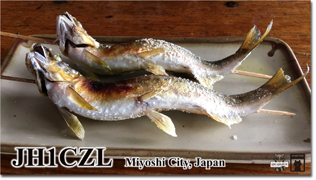 QSL@JR4PUR #491 - Ayu (Sweetfish)