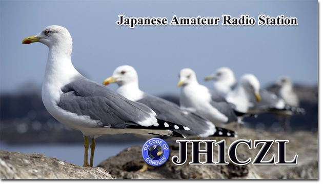 QSL@JR4PUR #573 - Seagulls