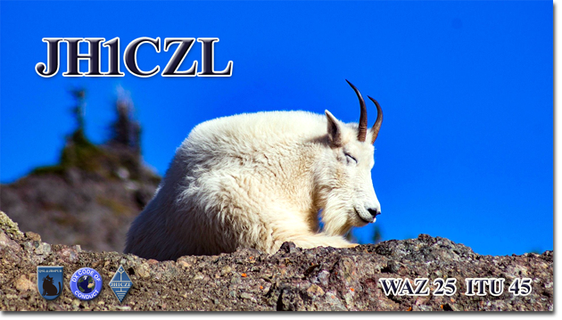 QSL@JR4PUR #651 - Goat