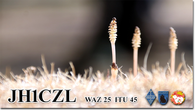 QSL@JR4PUR #677 - Horsetail