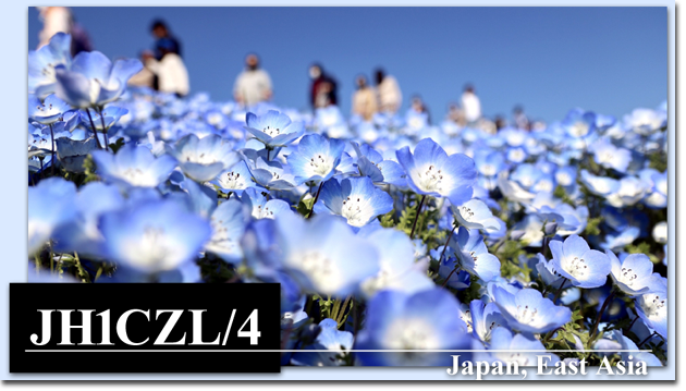 QSL@JR4PUR #718 - Nemophila, Hitachi Seaside Park, Ibaraki