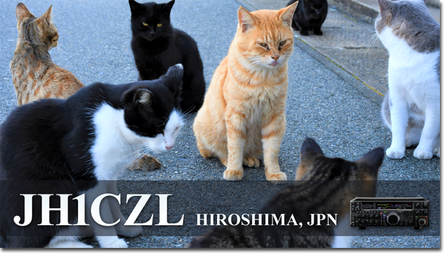 QSL Cards Design QSLカード 自作 テンプレート 印刷 デザイン 手作り 作成 書き方 送り方 レポート面 問題 見本 QSL@JR4PUR #991 - Gathering of Street Cats