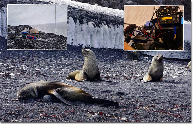 3Y0J - Bouvet Island（ブーベ島）のQSLカードが届きました