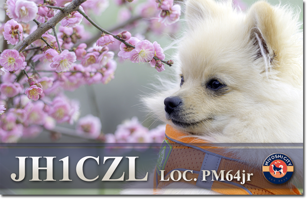 QSLカード 新着 プリントパック 自作 テンプレート 印刷 デザイン 手作り 作成 書き方 送り方 レポート面 問題 見本 作り方 pdf QSL Card Cards Design Designers print Printers printing Cheap shop service template gallery cool old art beautiful <img src=